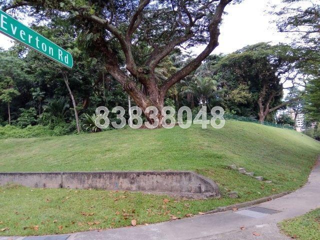 Blk 18 Cantonment Close (Bukit Merah), HDB 5 Rooms #167903952